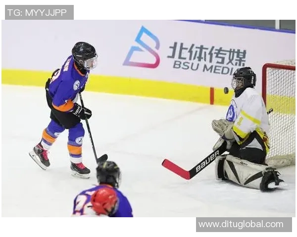 全国锦标赛分析：北京羽毛球队心理素质的优劣与提升空间探讨