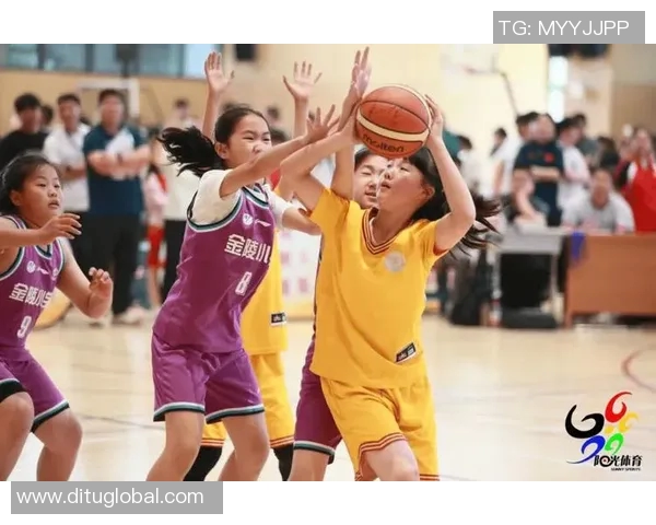 南京篮球队强势崛起荣登全国篮球力量排行榜第三名