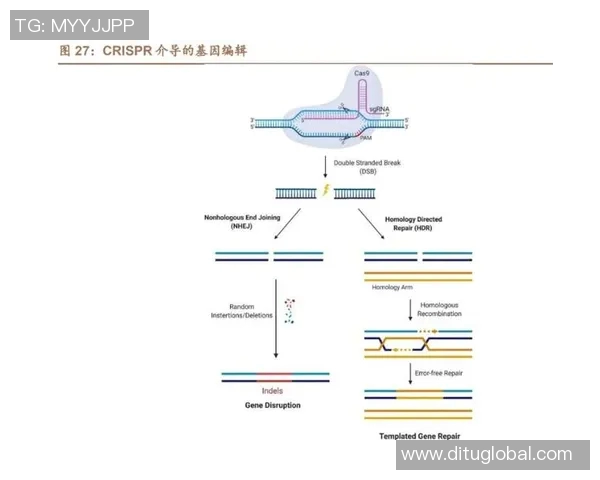 广州网球队实力解析：新星崛起与未来发展潜力探讨